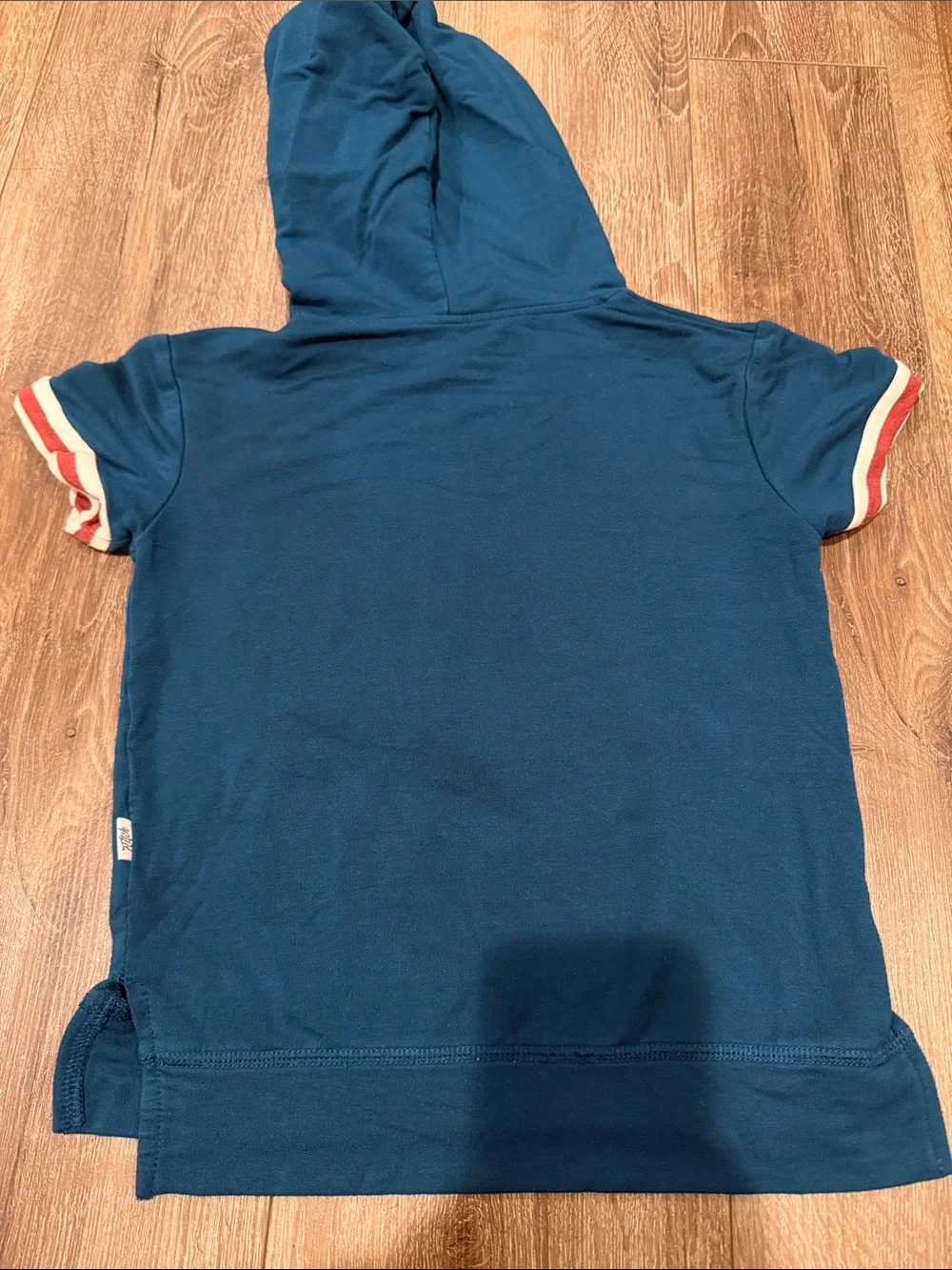 Fletch Teal Short Sleeve Hoodie and Shorts Set Size: 2/3T